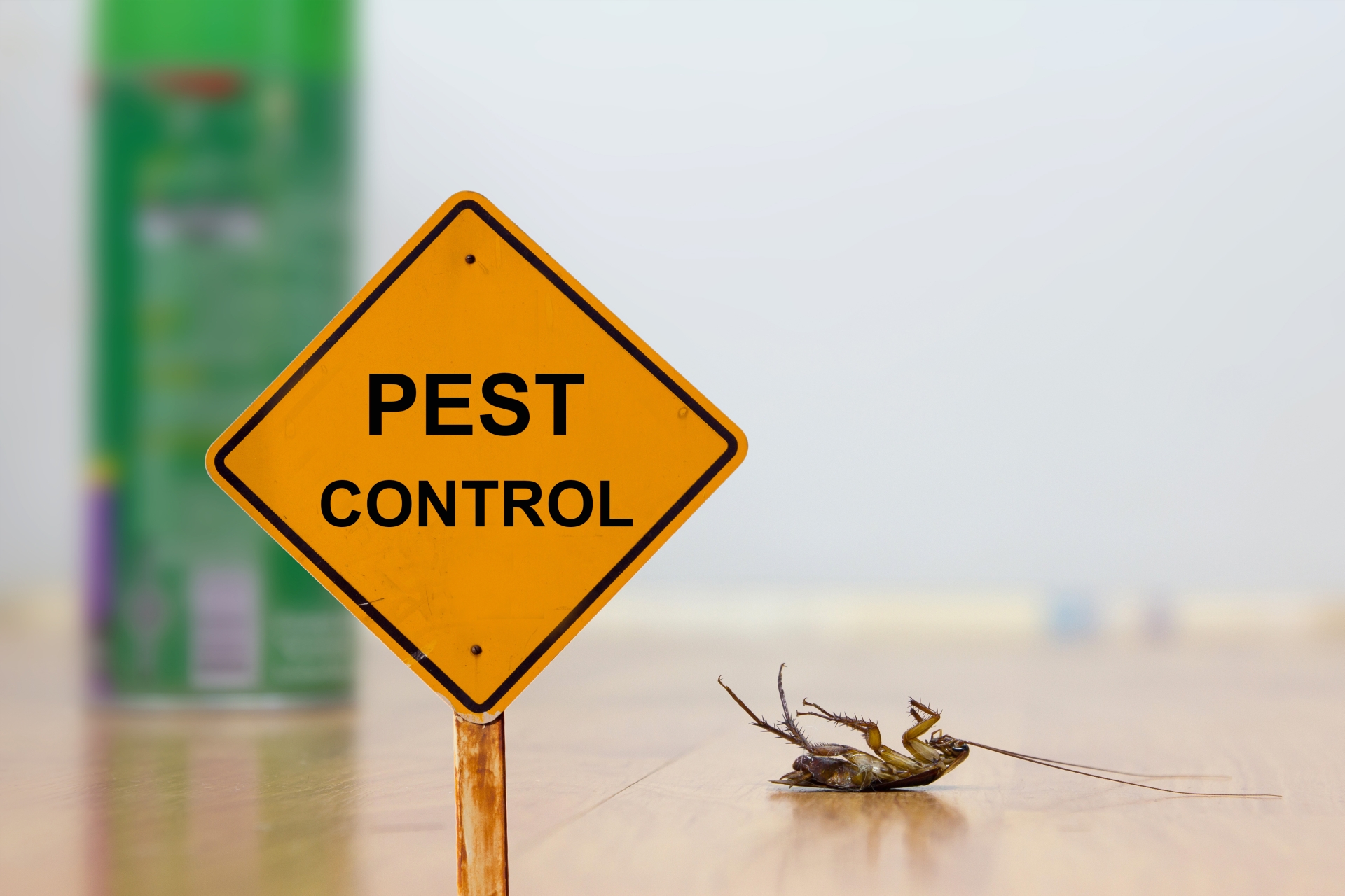 24 Hour Pest Control, Pest Control in Whitechapel, E1. Call Now 020 8166 9746