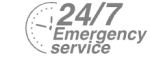 24/7 Emergency Service Pest Control in Whitechapel, E1. Call Now! 020 8166 9746